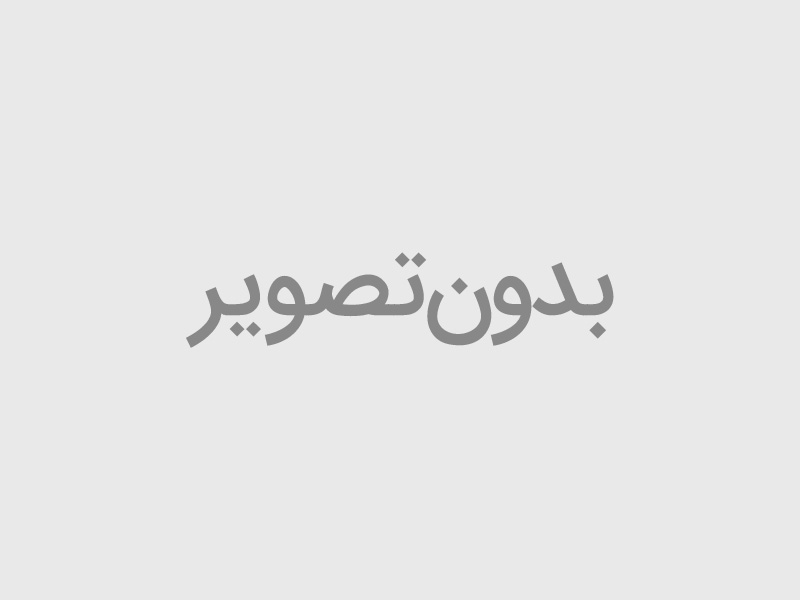 بوش طبق لاستیکی کوچک شاهین